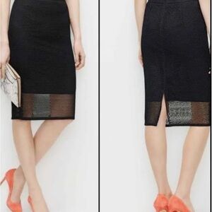 Ann Taylor mesh Pencil skirt
